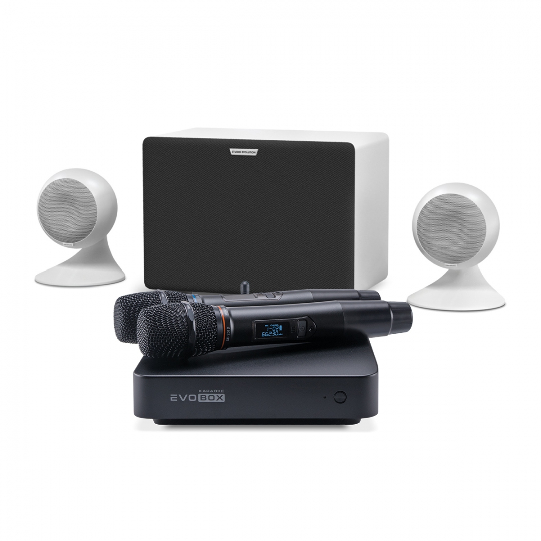 караоке-комплект EVOBOX Classic + EvoSound Sphere 2.1 в Лакинске