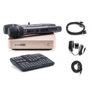 EVOBOX Classic караоке-система для дома в Лакинске
