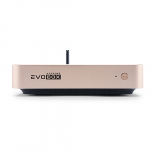 EVOBOX Plus караоке-система для дома в Лакинске