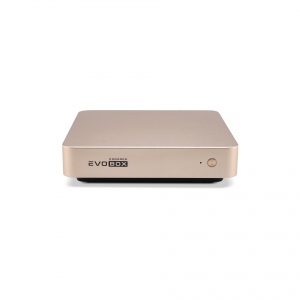 EVOBOX с микрофонами в Лакинске